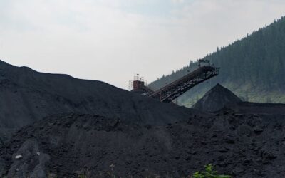 Trade Finance for Energy Commodity Traders: Coal, Charcoal & Briquette Imports
