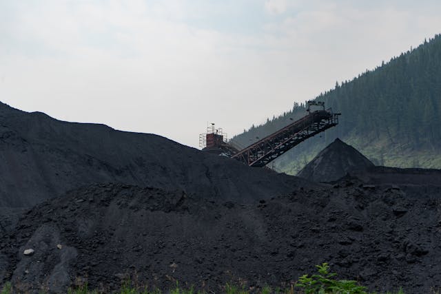 Trade Finance for Energy Commodity Traders: Coal, Charcoal & Briquette Imports